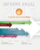 Informe Anual FSG 2013